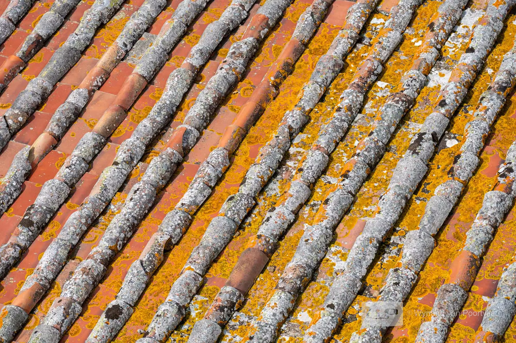 Roof Tiles - Montepulciano- Tuscany  - Italy