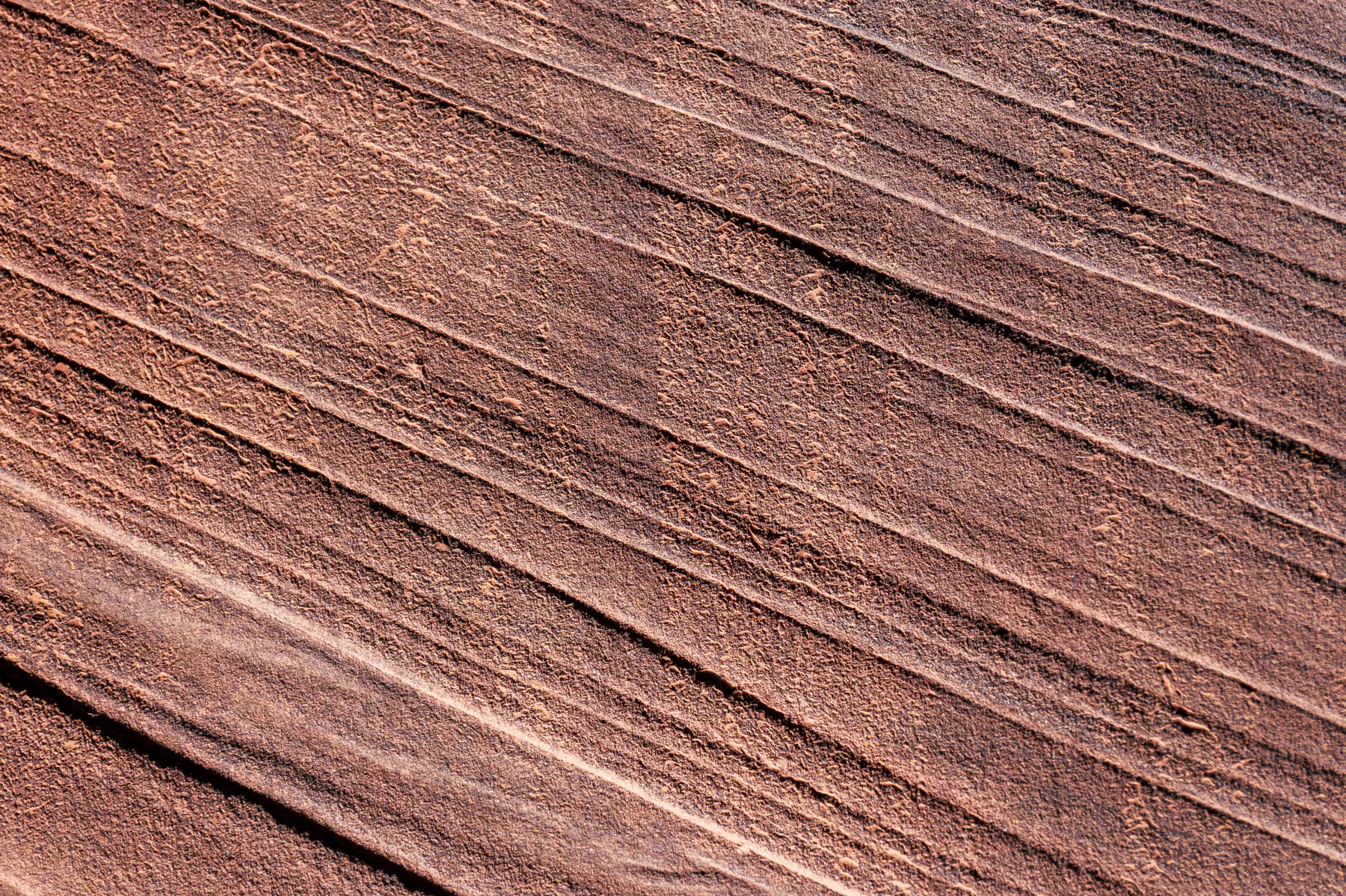 Wire Pass Trailhead - Utah - USA (2024)
