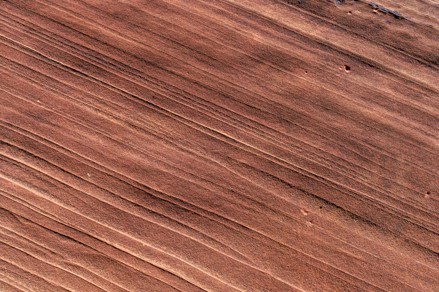 Wire Pass Trailhead - Utah - USA (2024)