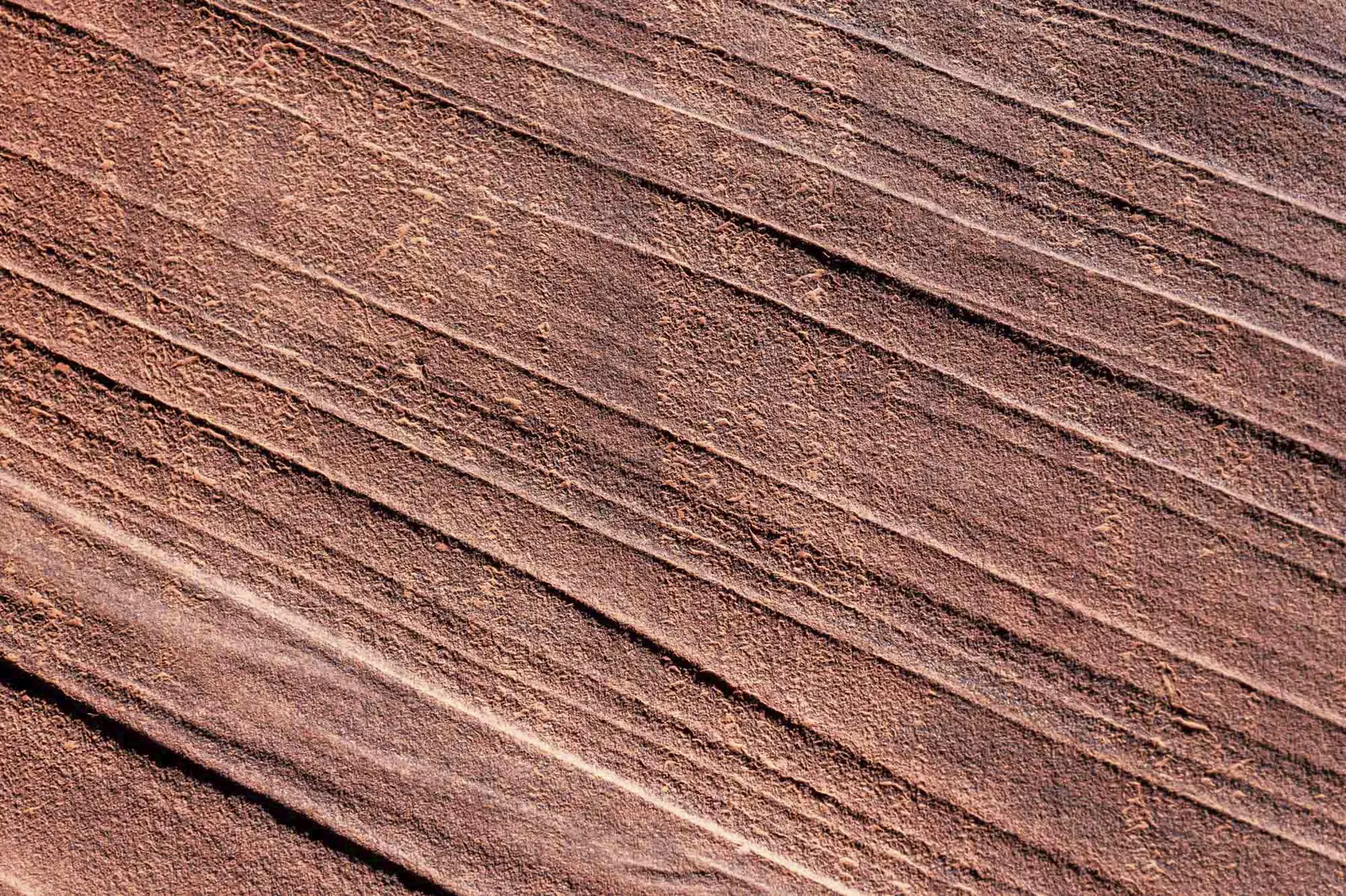 Wire Pass Trailhead - Utah - USA (2024)
