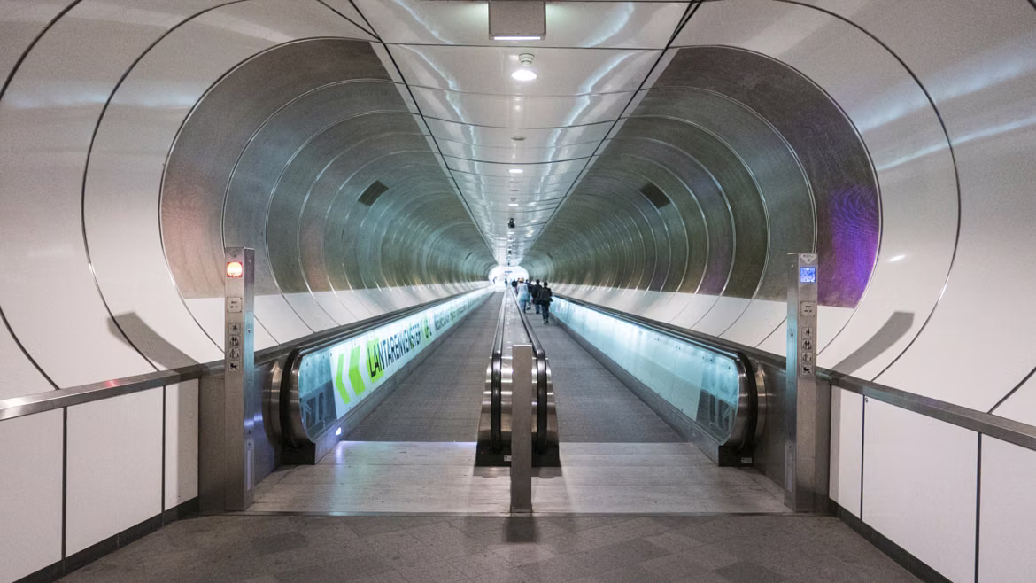 (2015)