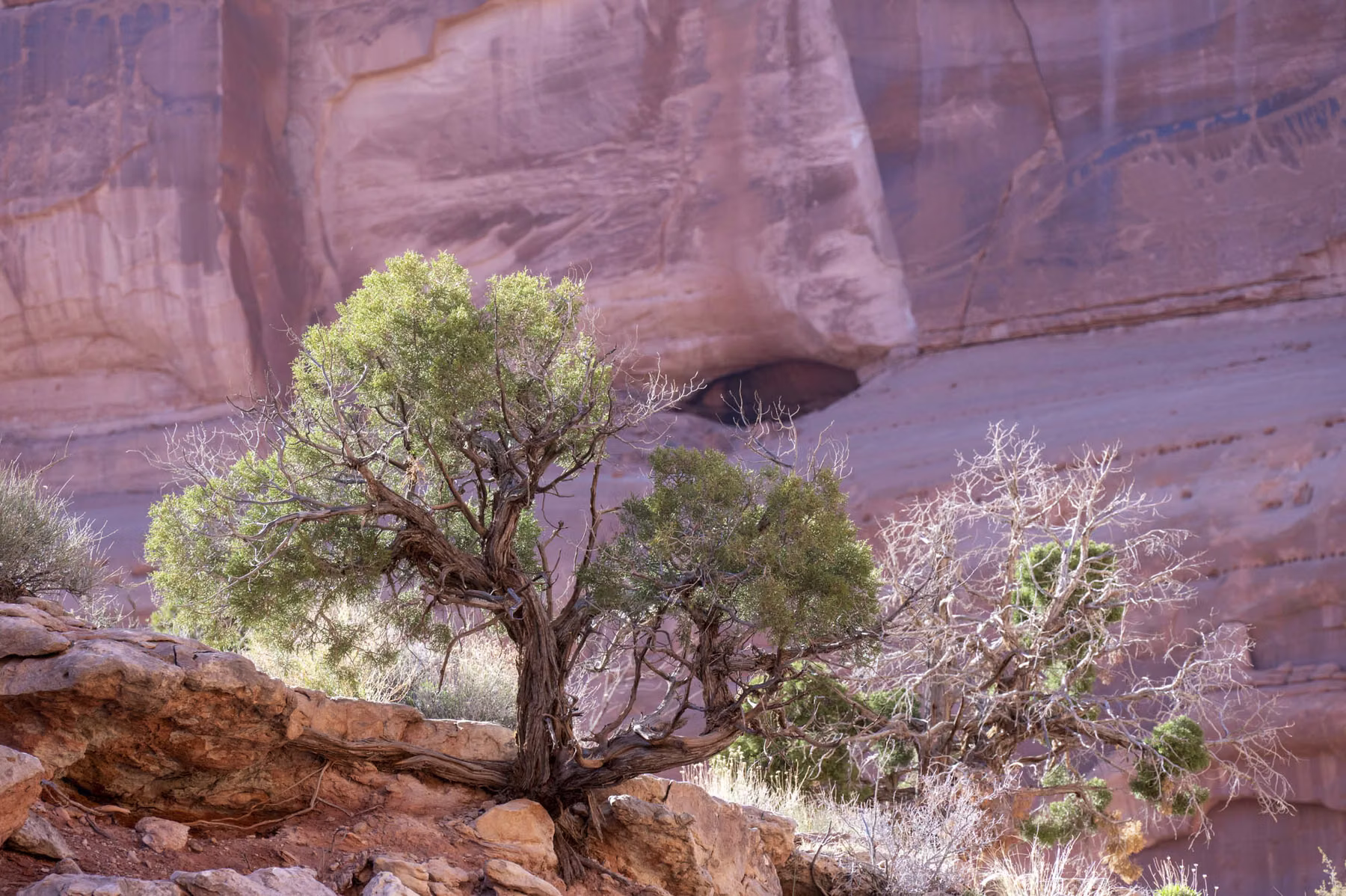 Arches National Park - Utah - USA (2024)