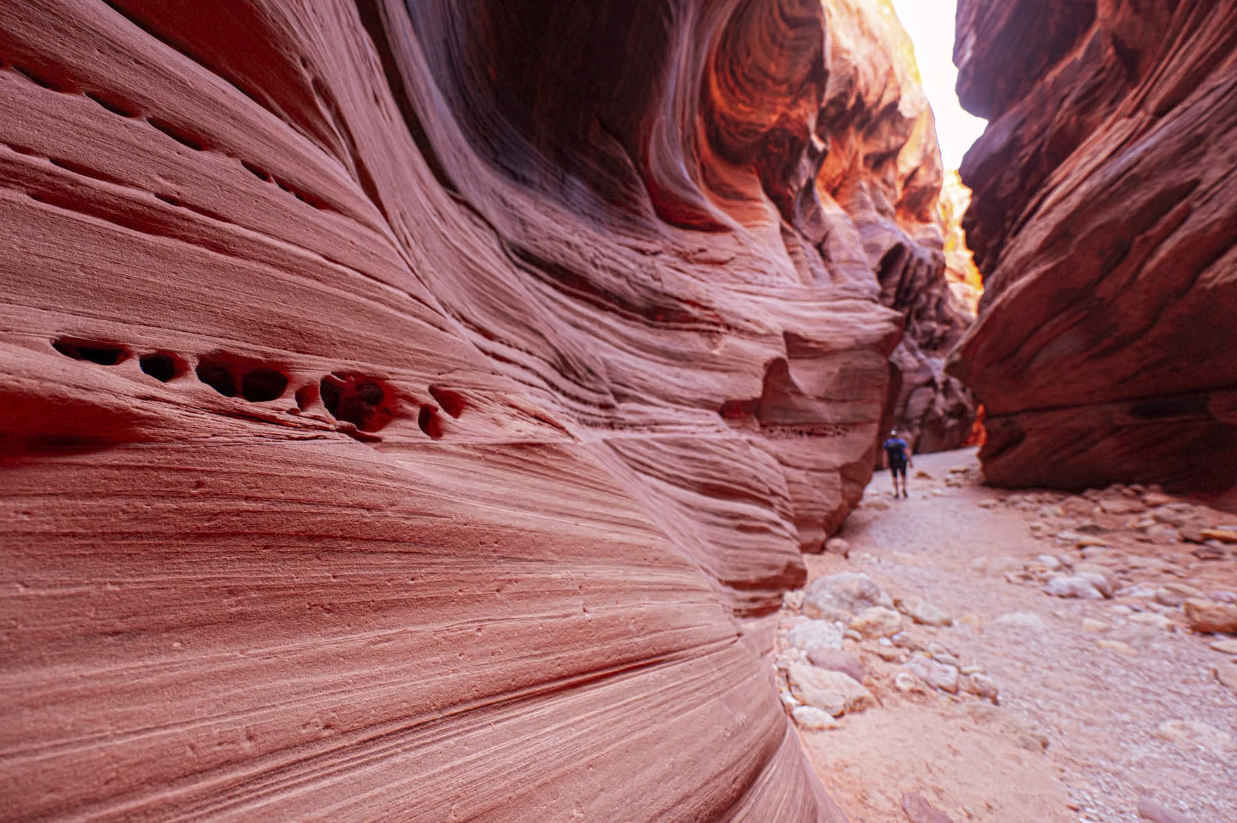Wire Pass Trailhead - Utah - USA (2024)