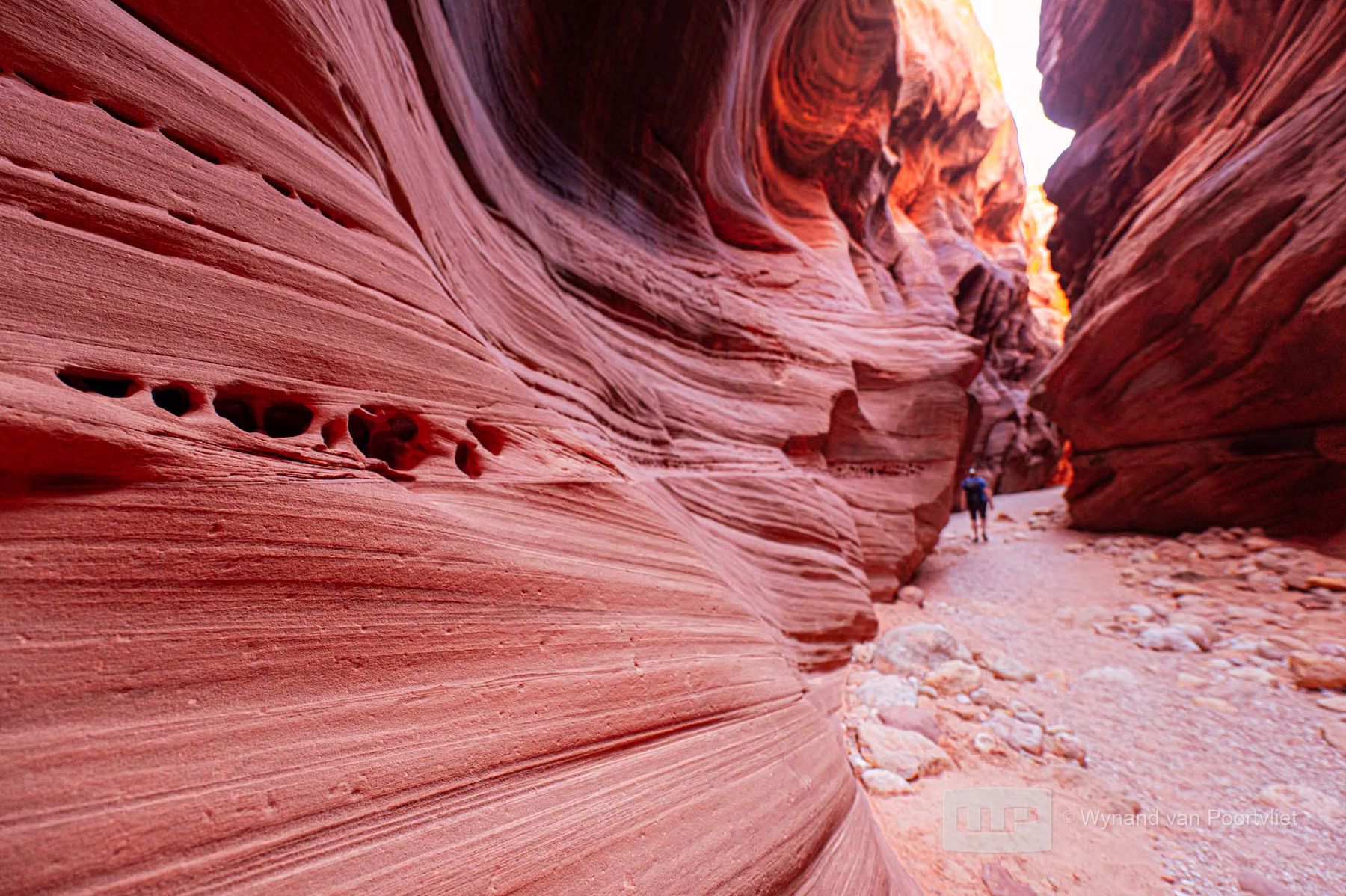 Wire Pass Trailhead - Utah - USA