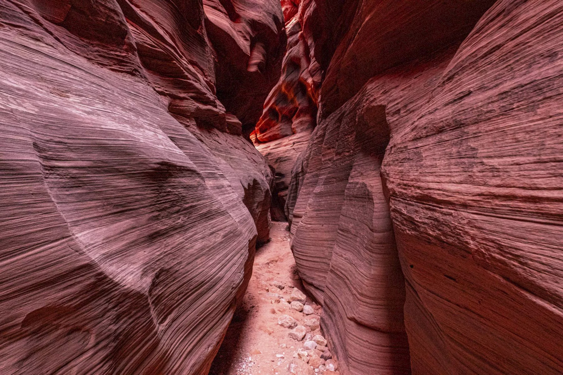 Wire Pass Trailhead - Utah - USA (2024)