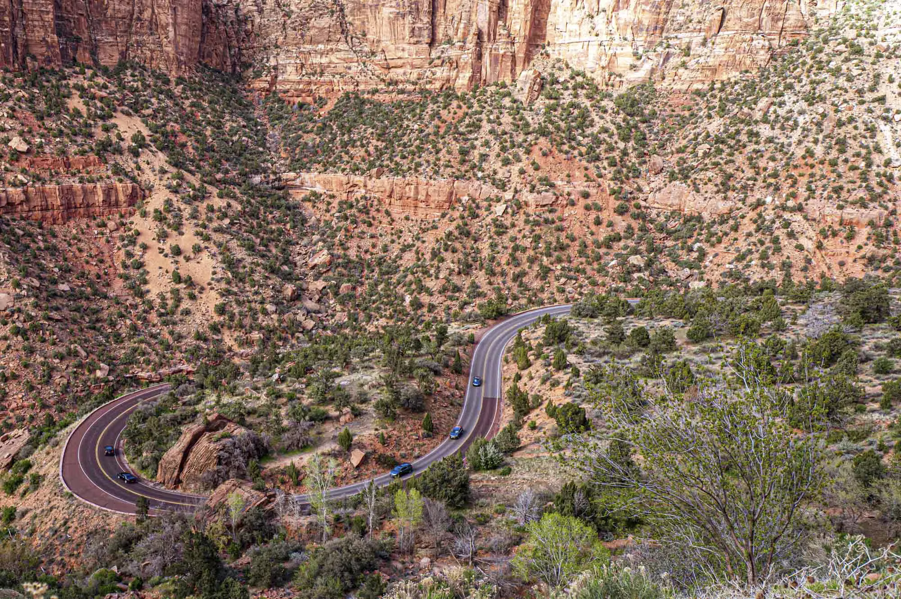 Zion National Park - Utah - USA