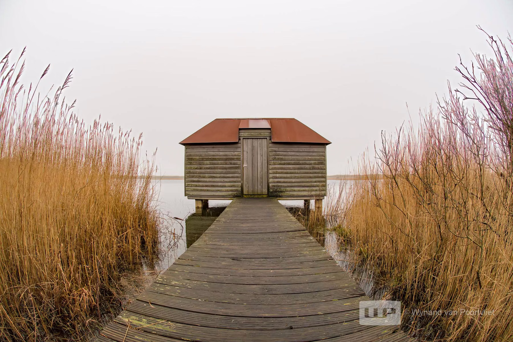 Ameland - The Netherlands