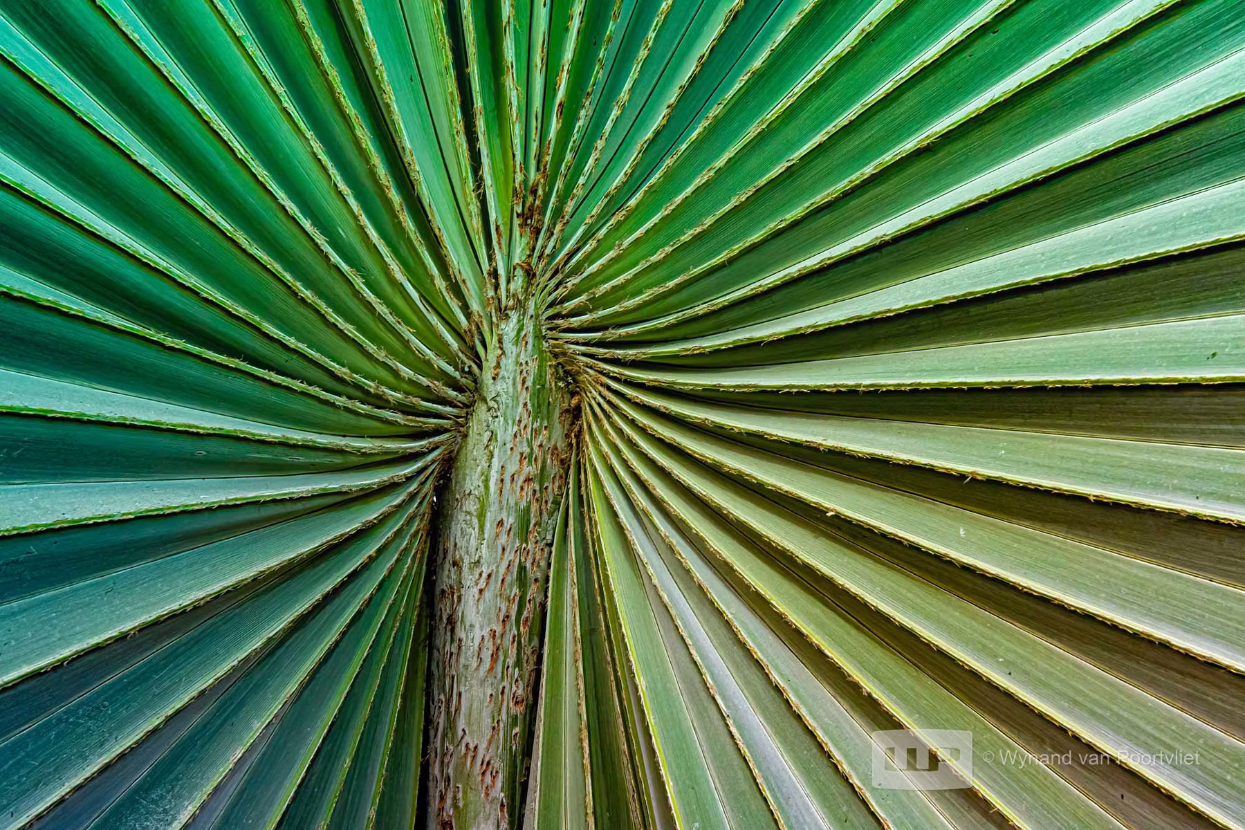 Miami - Florida - USA