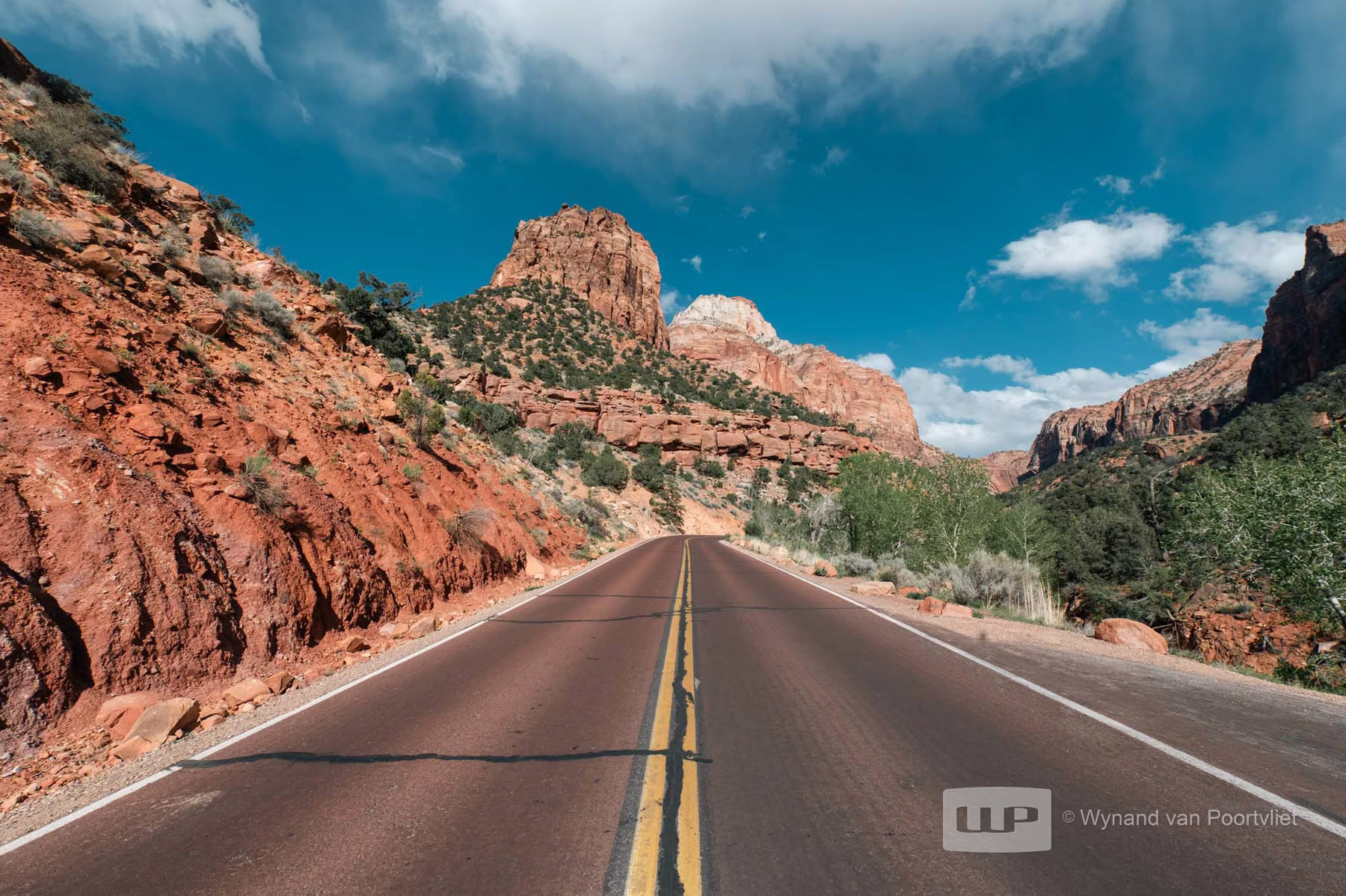 Zion National Park - Utah - USA