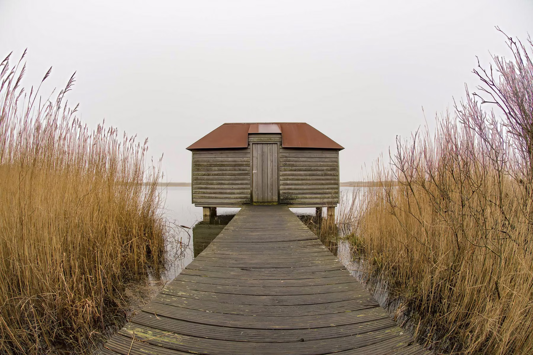 Ameland - The Netherlands (2017)